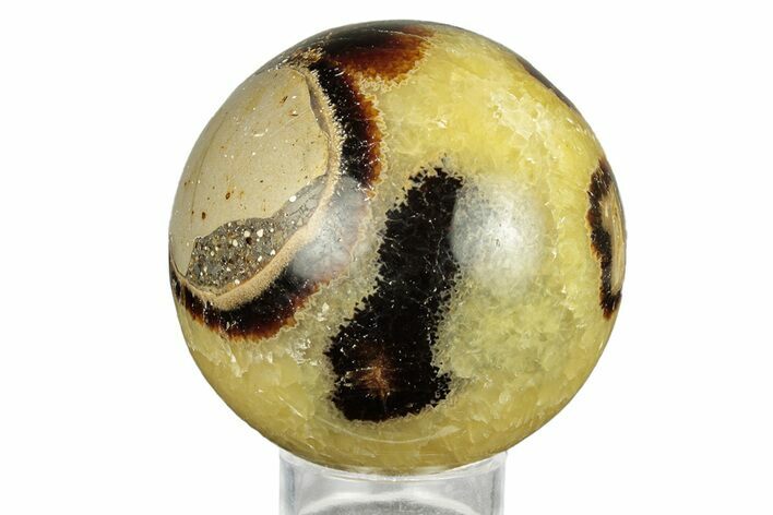 Polished Septarian Sphere - Madagascar #260040